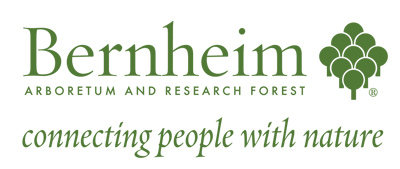 Bernheim logo