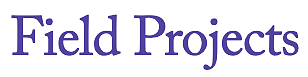 Field Projects logo