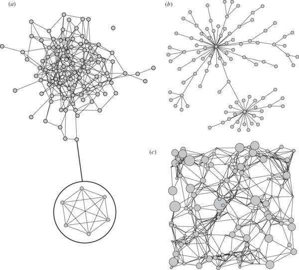 An illustration of complex networks featuring circular nodes with lines denoting their connections.