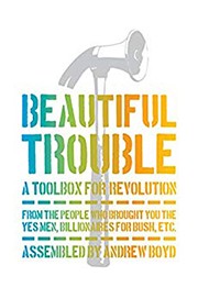 Book cover for Beautiful Trouble