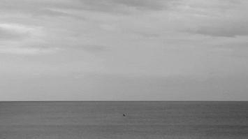 giphy - 2025-11-07T135451.502