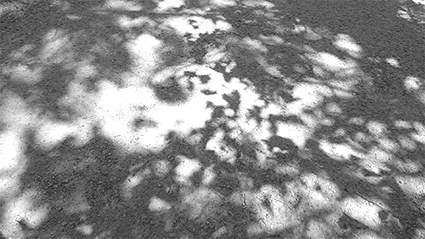 giphy - 2025-11-07T135715.039