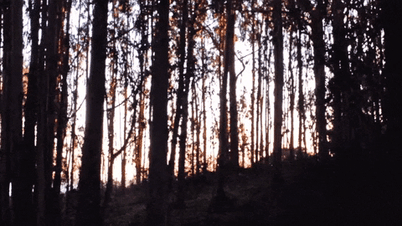 giphy - 2025-11-07T135722.503