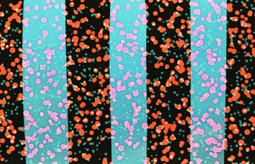 giphy - 2025-11-07T135927.605