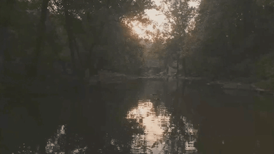 giphy - 2025-11-07T140559.910