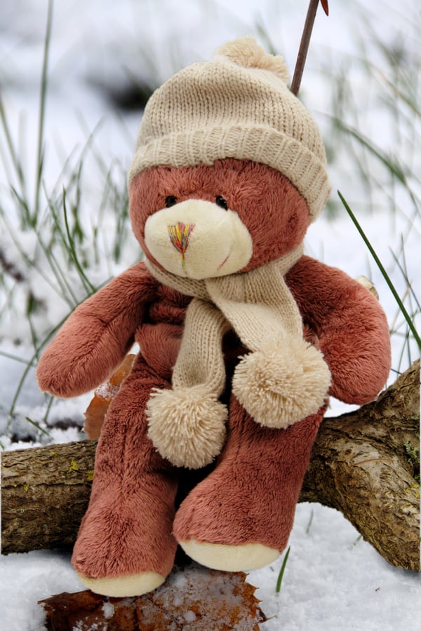 A teddy bear in a scarf and hat.