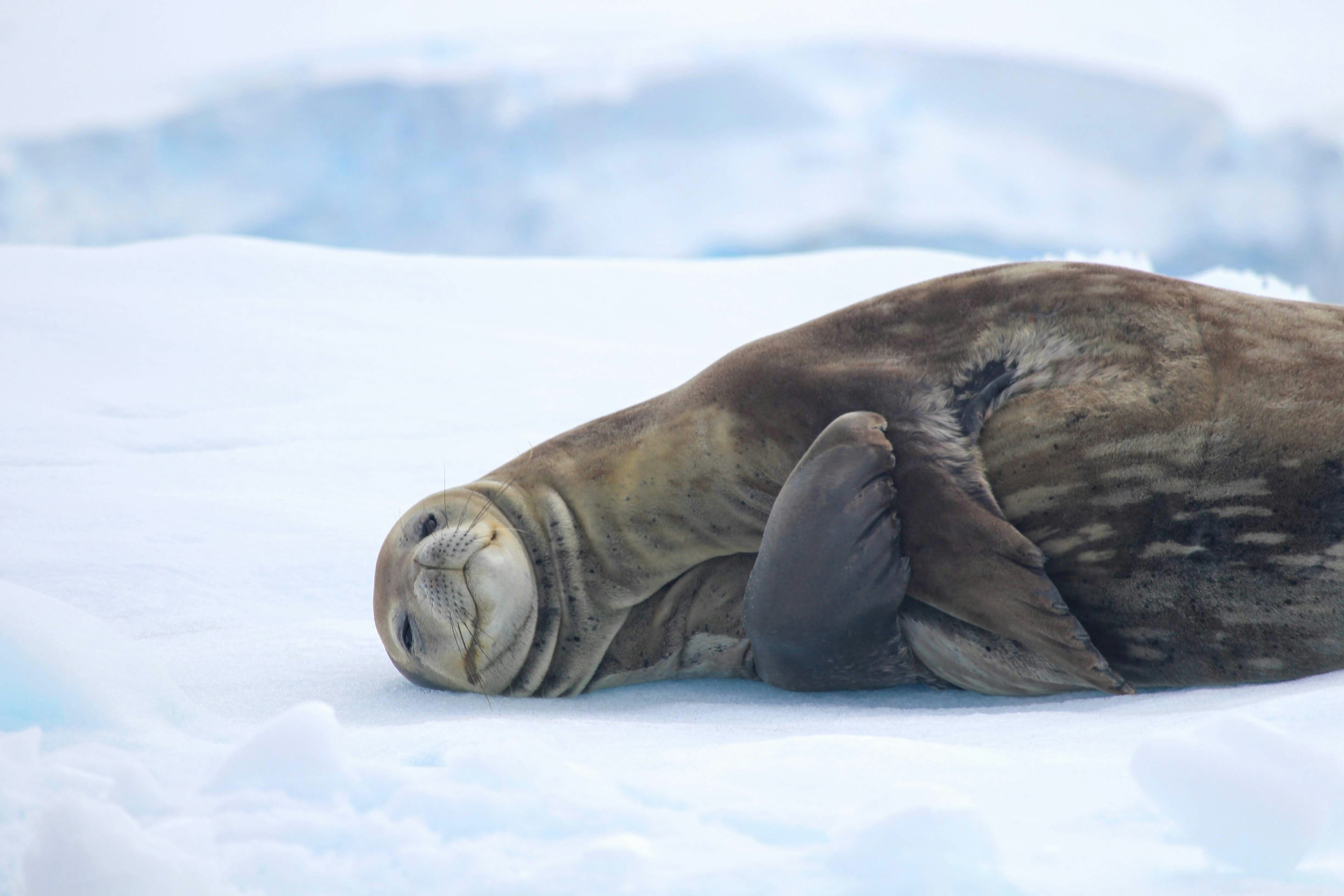 Seasonal Thinking for Creative Beings