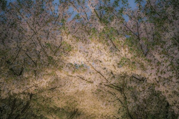 Thoughts on abundance (from a nonexpert)